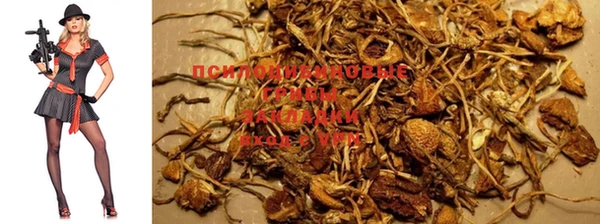 не бодяженный Кодинск